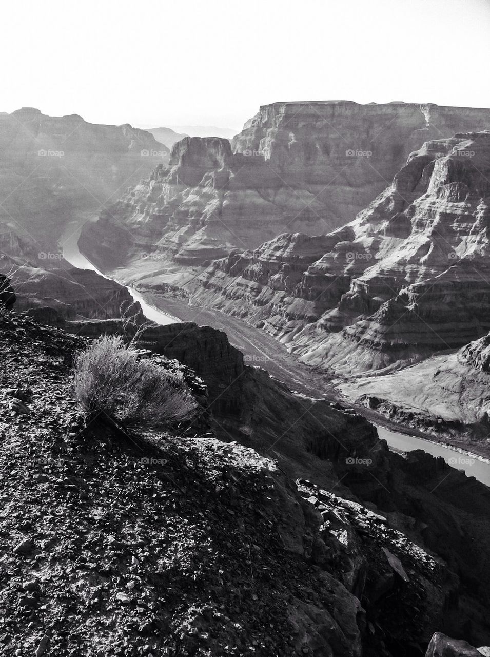 The Grand Canyon south rim