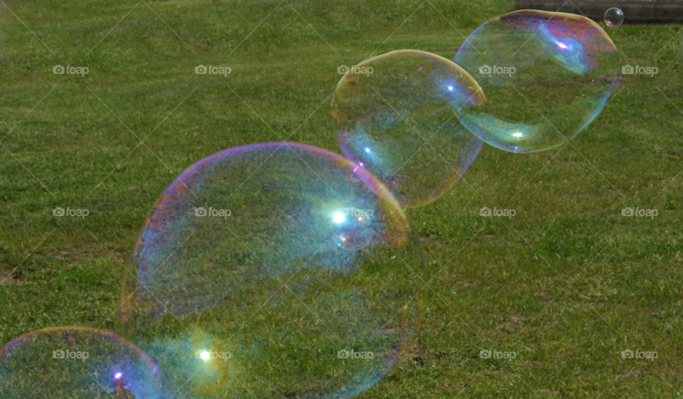 grass bubbles bubble by Wilson100