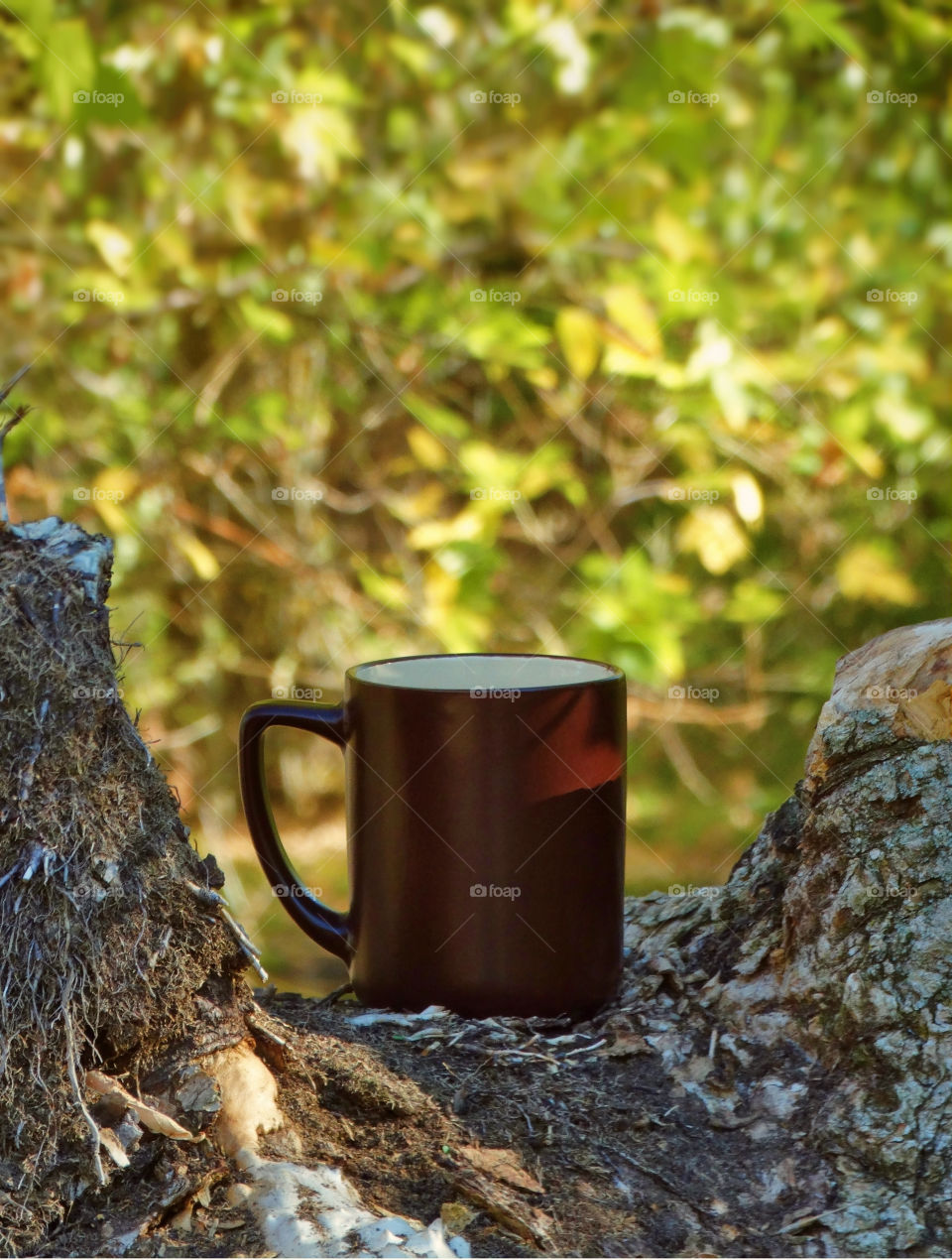 Autumn coffee time in the nature