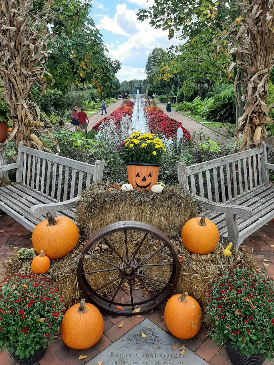 Autumn in garden. Wheel.