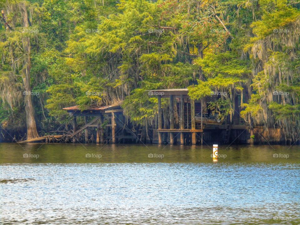 Lakeside. Caddo Lake, Texas