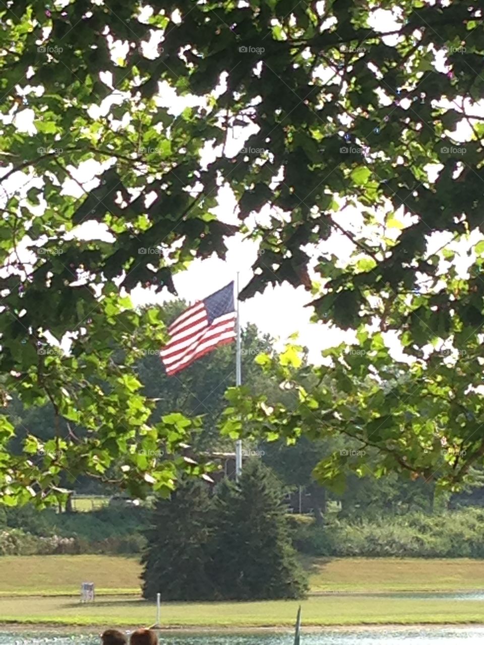 Our flag through the trees