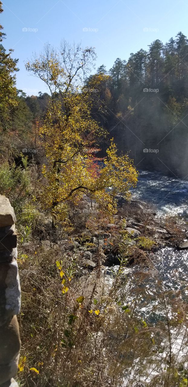 Autumn color on the river