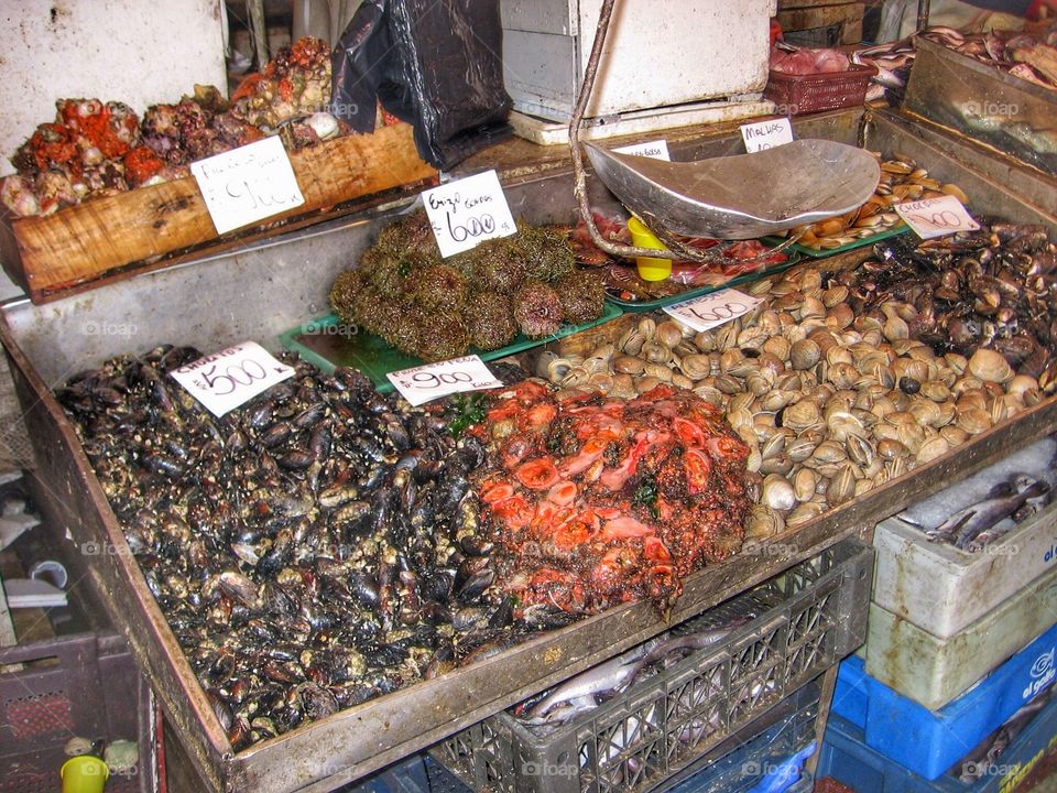 Seafood Market