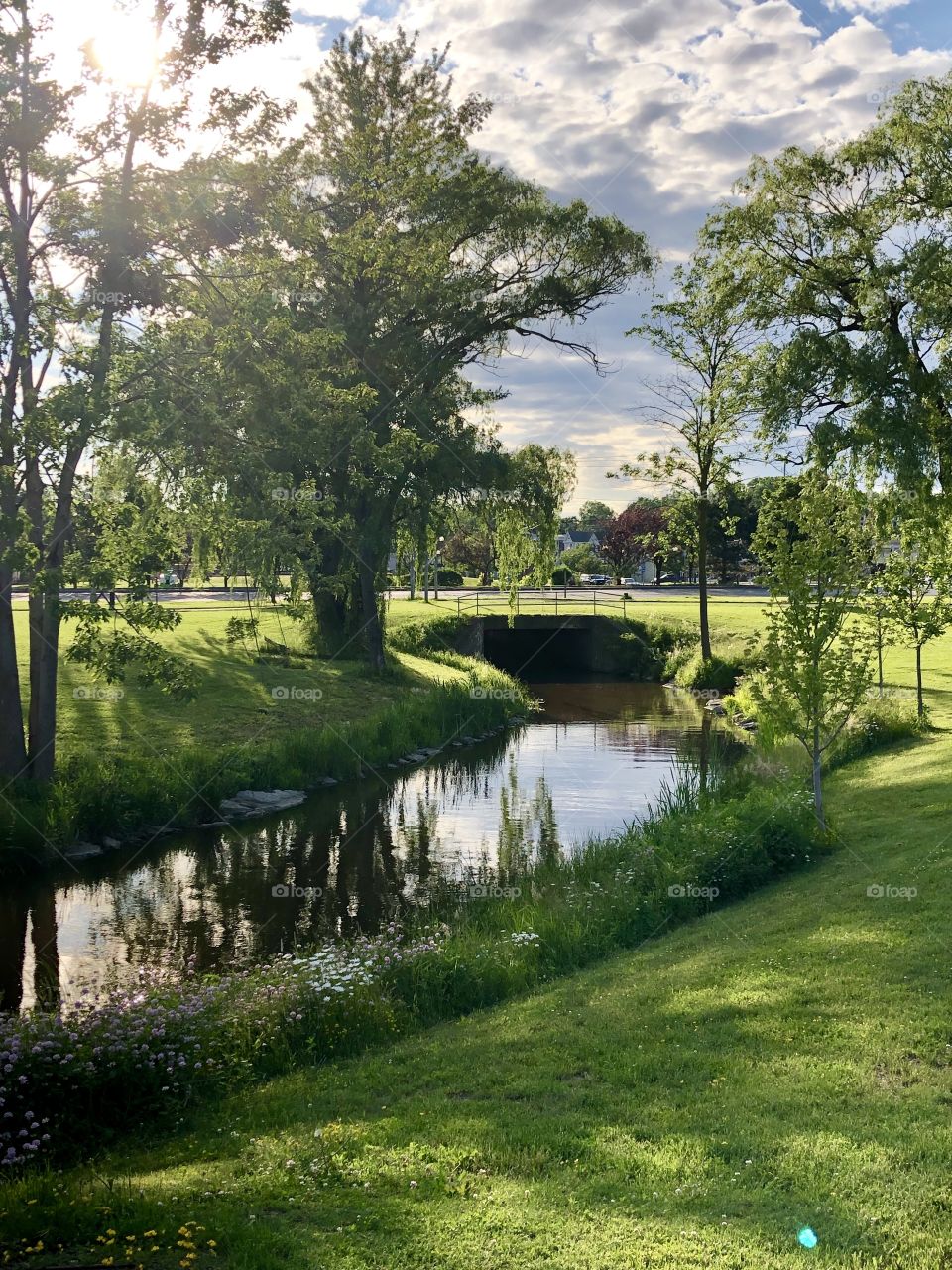 Trees and Stream