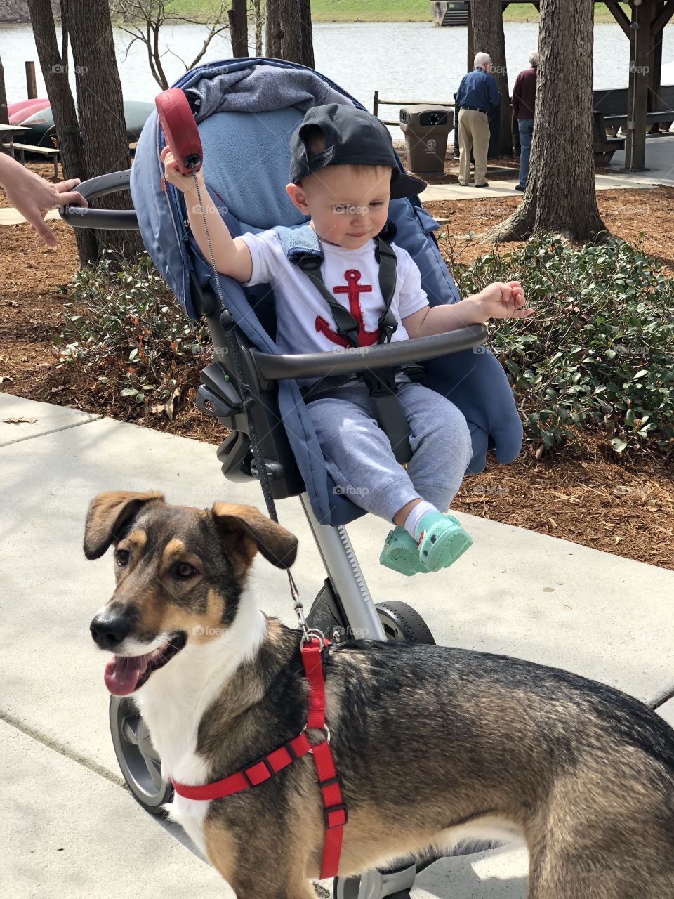 Baby with dog