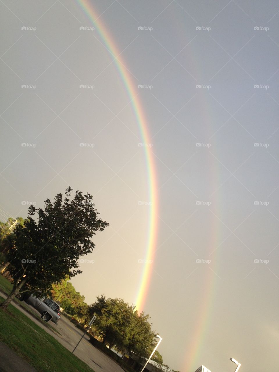 A double rainbow going vertically across a blue sky with trees to the left