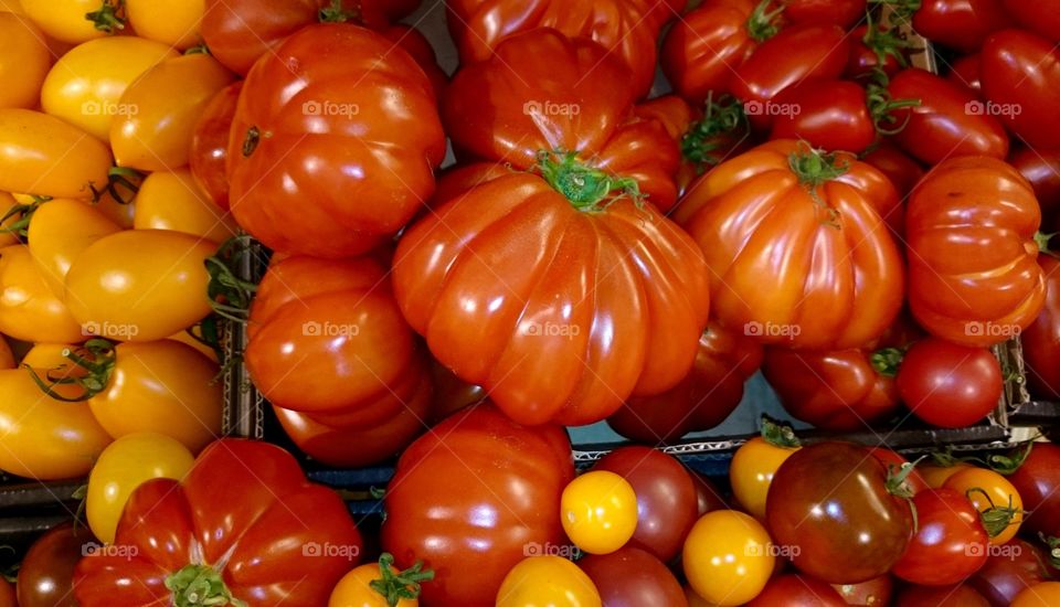 Colorful tomatoes