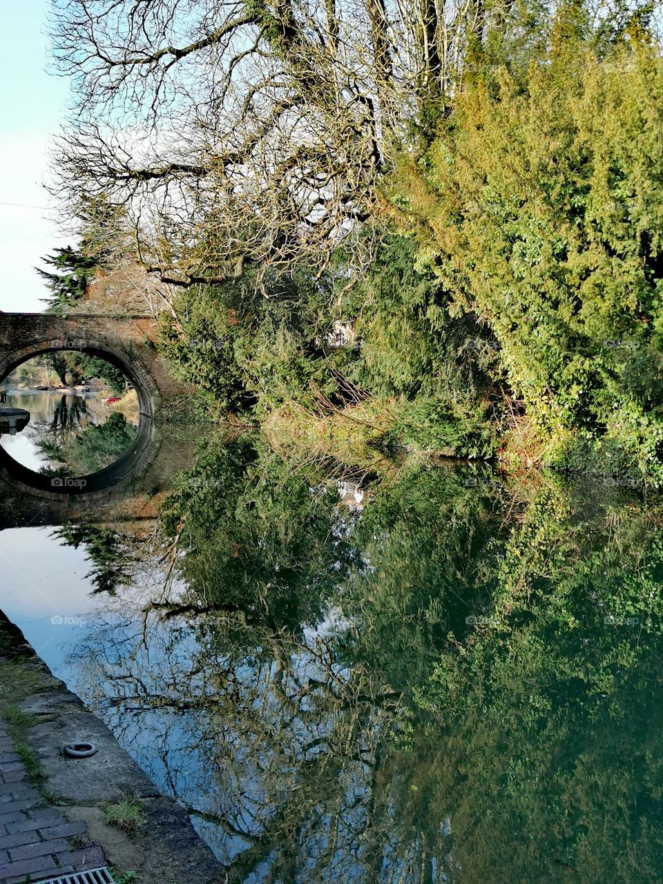 Reflections in the water