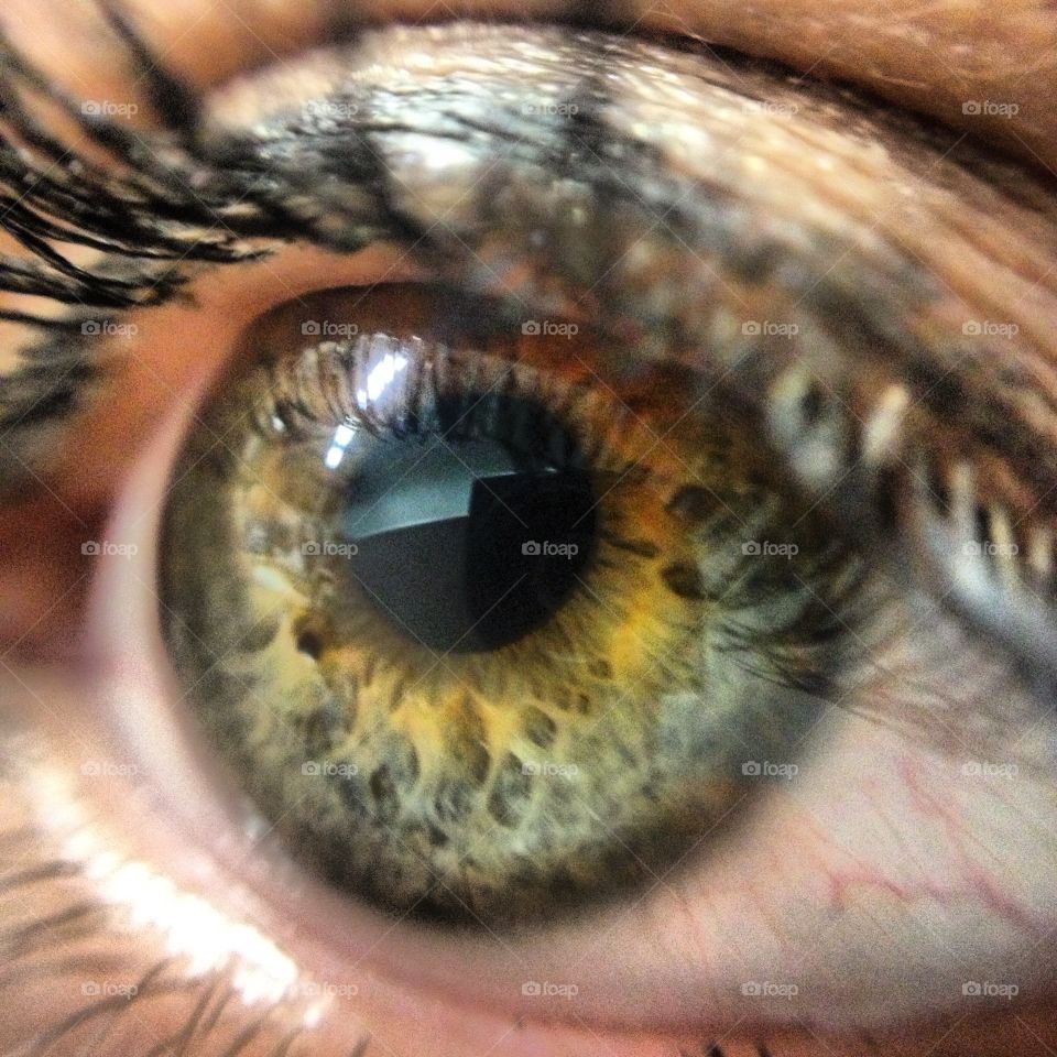 Close-up of human eye