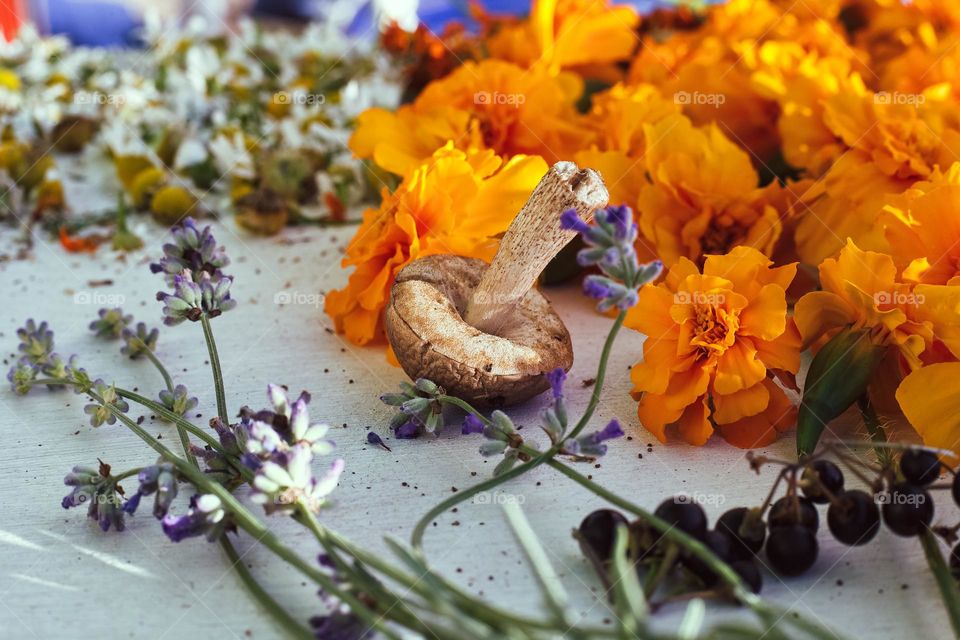 Herbs for drying for the winter and mushrooms are laid out on a white outdoor table.