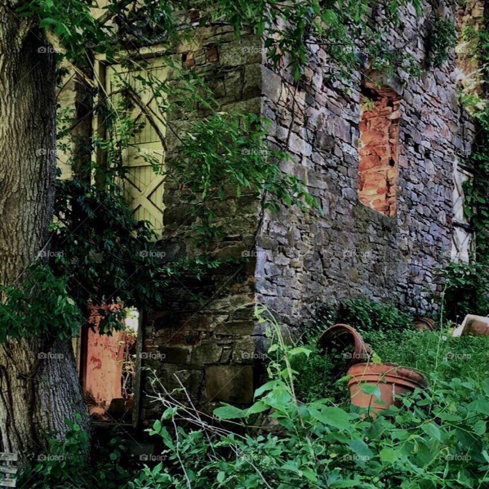 Rustic ruins of house in the woods