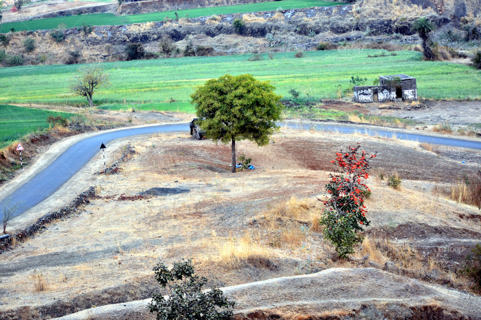 road is so beautiful