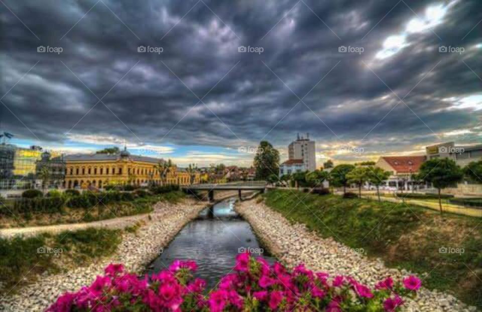 Flora in Vinkovci croatia