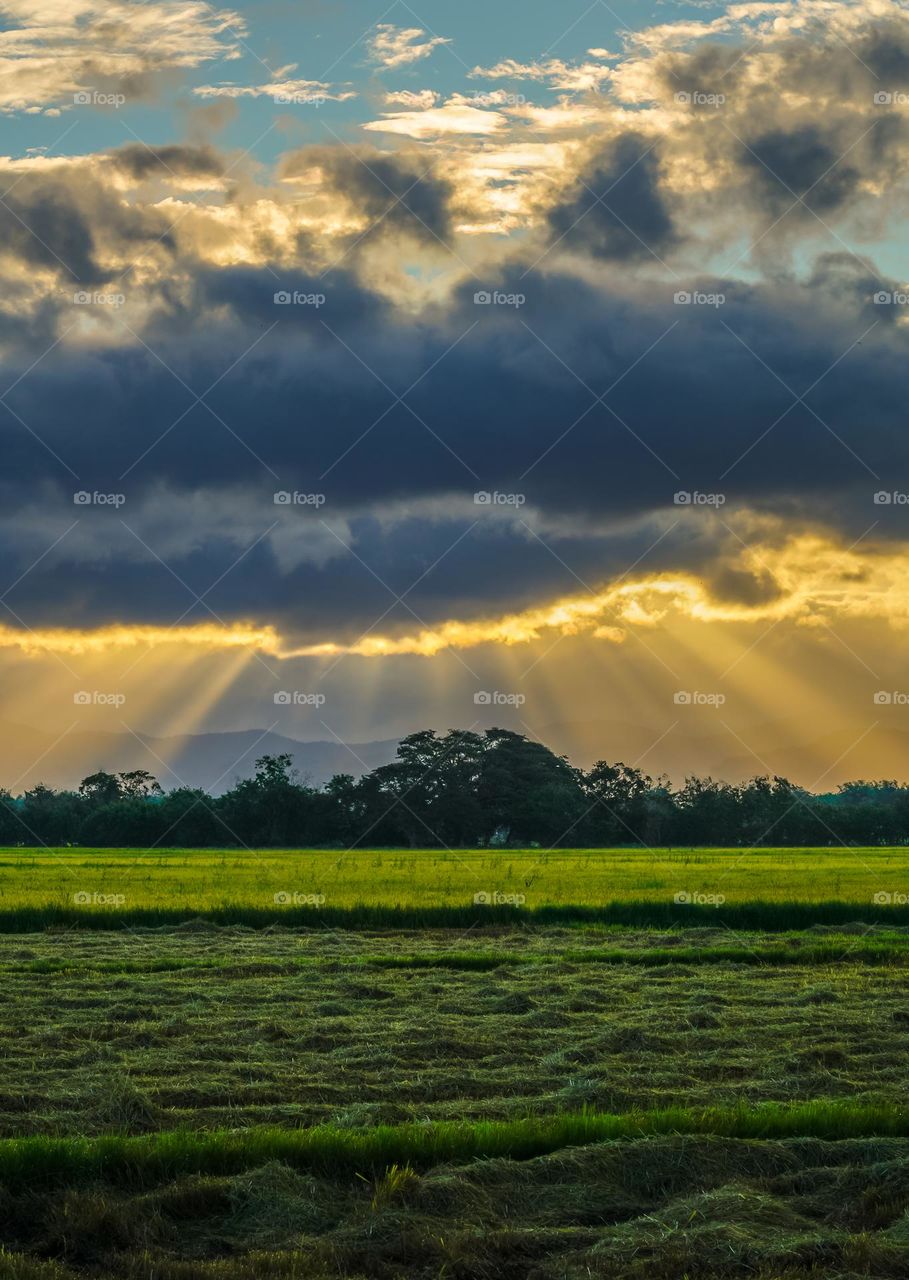 Split  rays during Sunrise