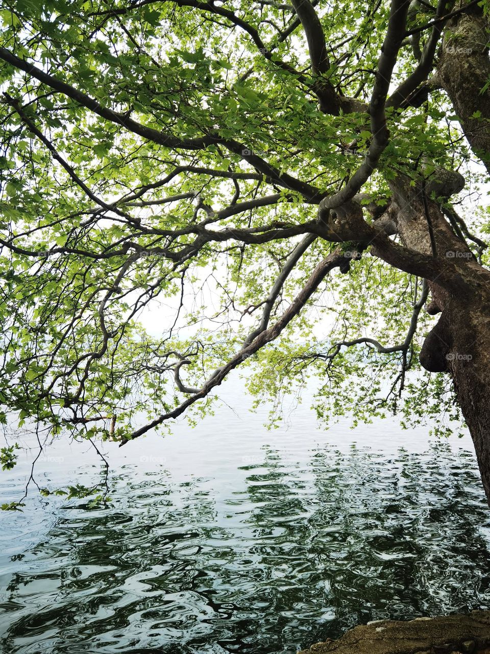 Doiran lake, North Macedonia