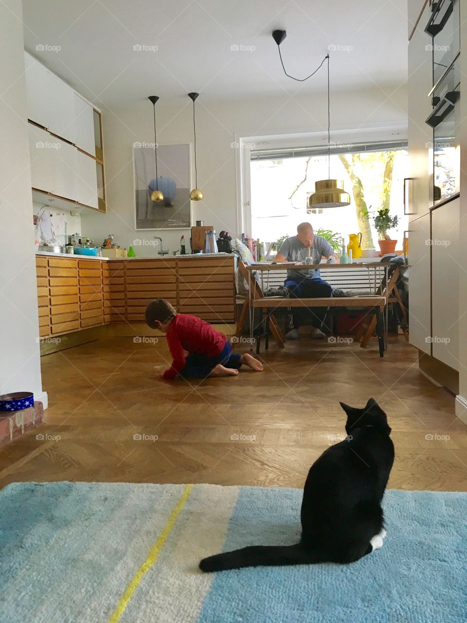Cat, boy and dad in modern kitchen