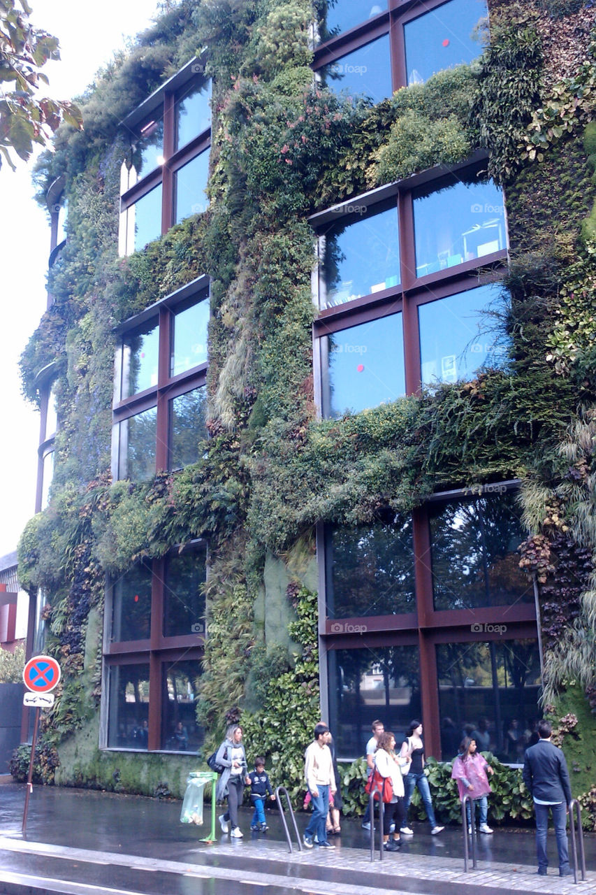 paris vertical garden patric blank quai branly by knutigro