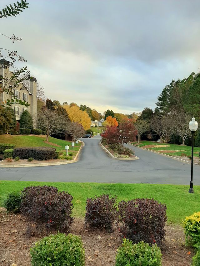 Autumn in Charlotte