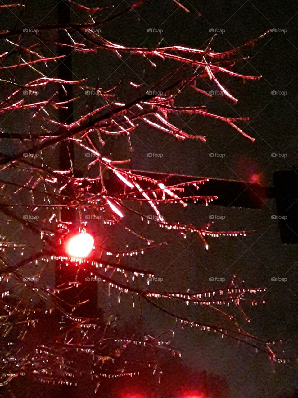 red light  shining on a ice covered  tree