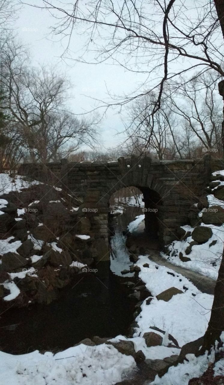 Creek in Central Park not Frozen in January with Bridge