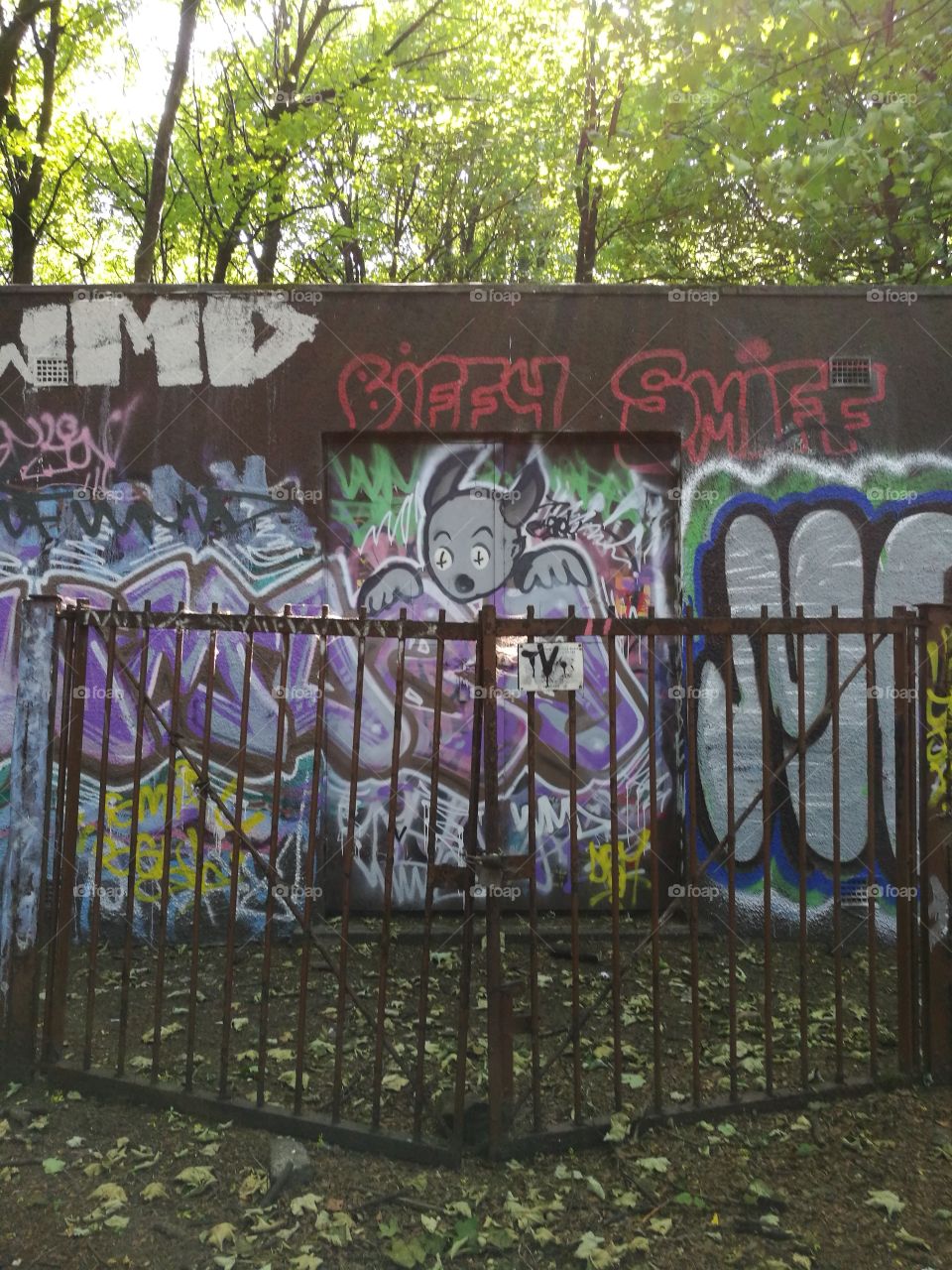 Graffiti in the woods