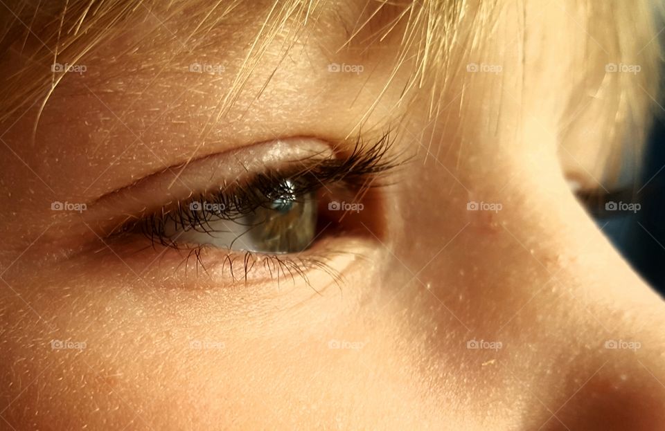 whatcha thinking iris