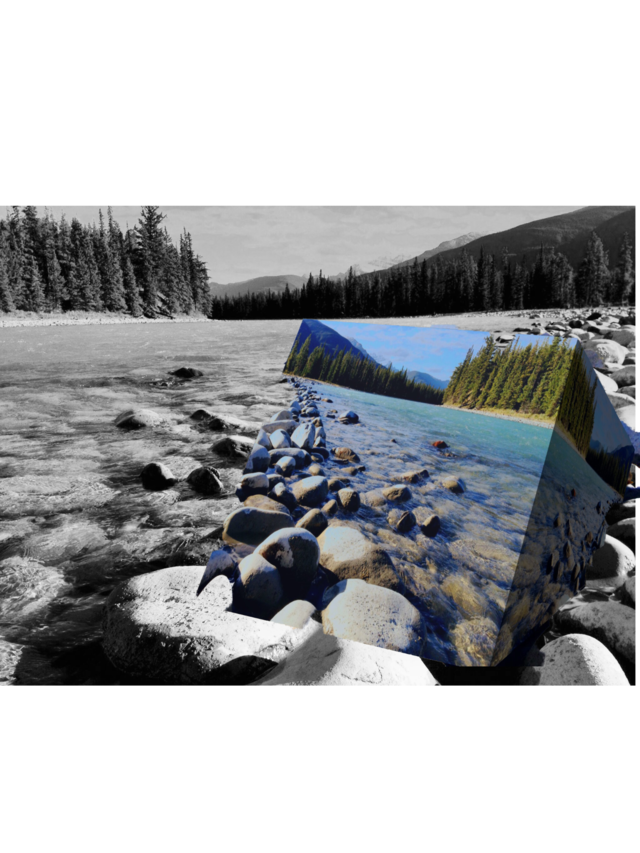 Nature. Lake 