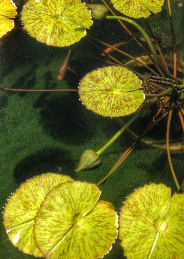 under water