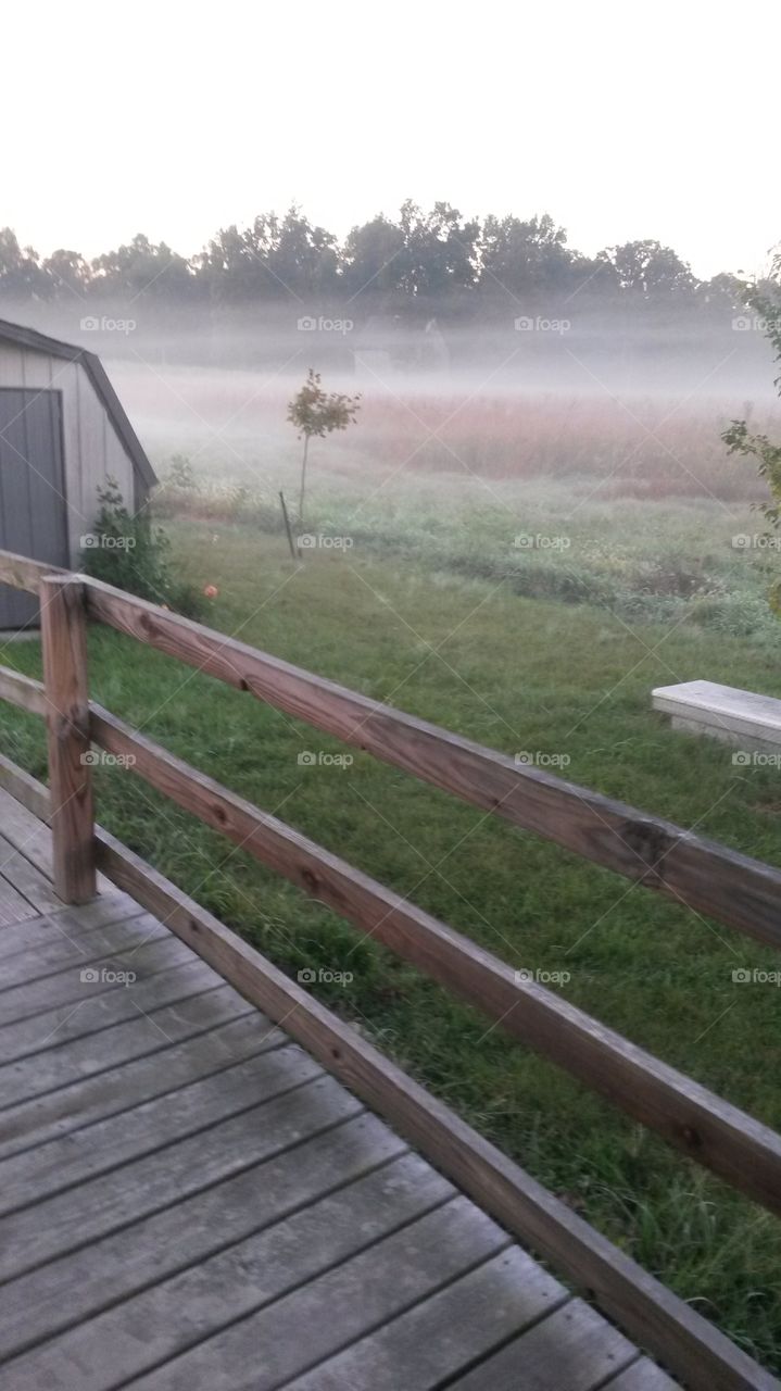 barn in the fog