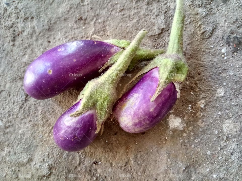 brinjal