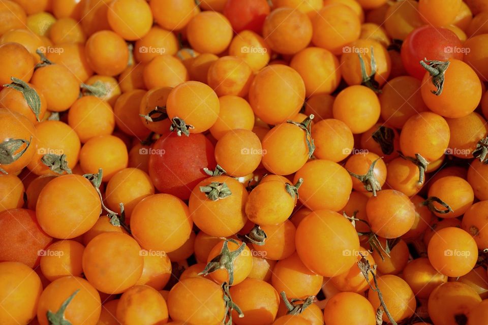 Ripe Organic Tomatoes