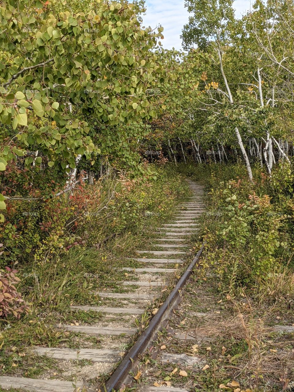 Autumn in the nature preserve