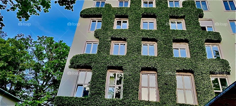 This beautiful highly unusual building uses vertical patches of lawn as a design element of its facade. It is located in “Munich”, “Bavaria” on “Königinstraße” in “Schwabing”, the traditional artists quarter of the city. 2022. Hypnotic Productions