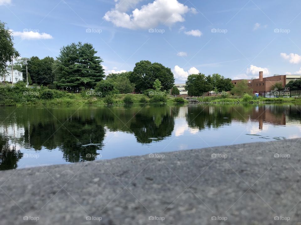 "Riverfront Reflections" - During a leisurely walk around the park, I stopped to gaze at the placid water with its reflections of trees and watch a gaggle of geese or ducks enjoy the warm summer day ( @scorpiol13 )