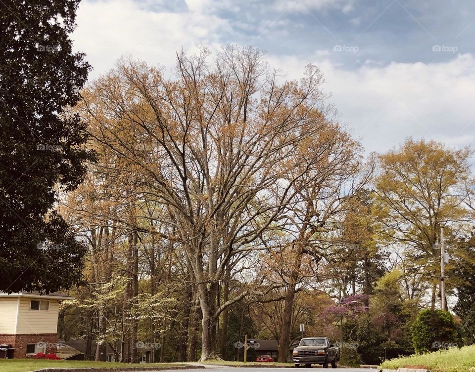 The car is my best friend. Through the years, through the seasons, still by my side like that. Even though, I can’t drive now, I still keep this car. Sitting in front of the porch every afternoon, watching the sunset with my car, I feel happy. 