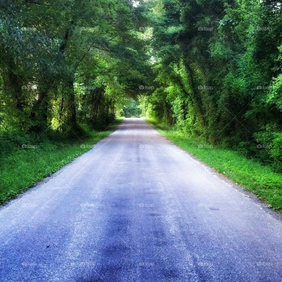 the lonely road. this is out inn the country