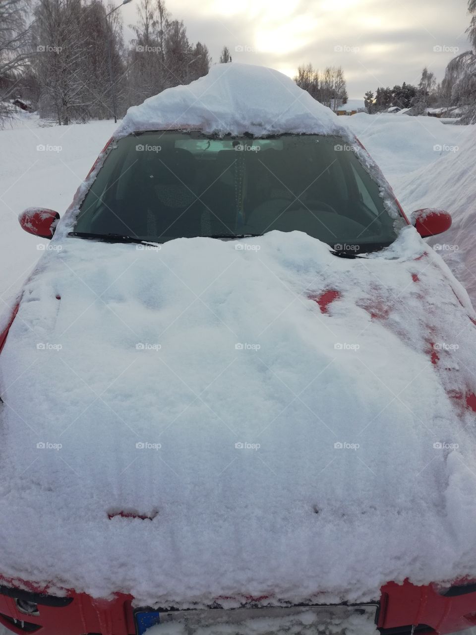 Snow, Winter, Ice, Cold, Weather