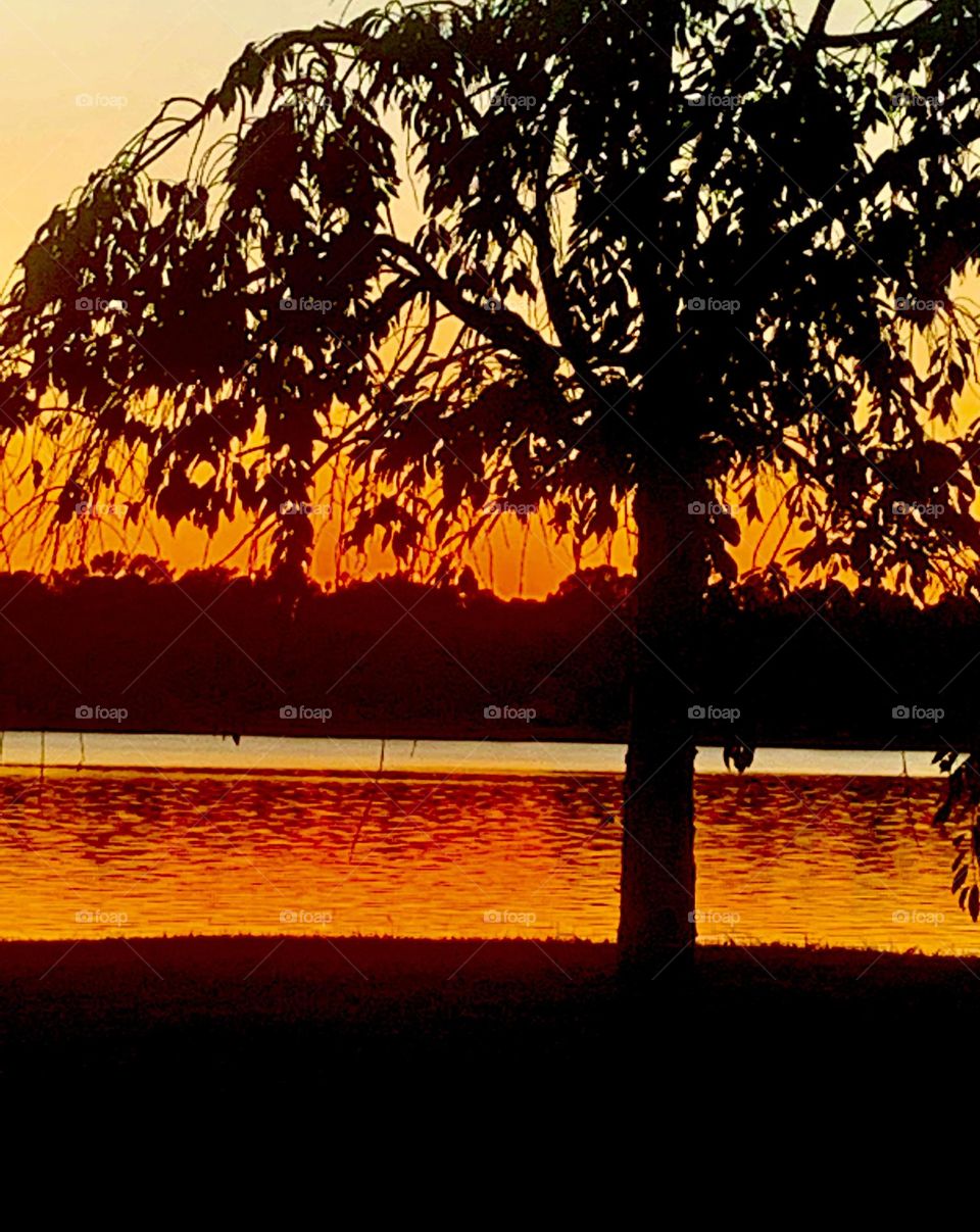 Evening on the lake