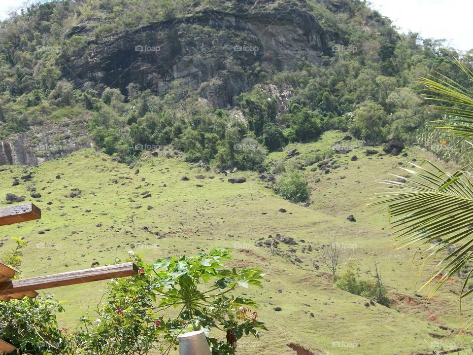 zona rural Brasil