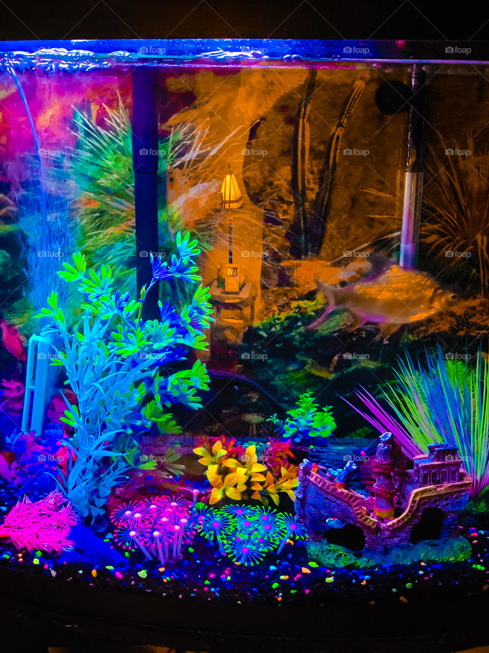 one fish two fish 3 fish blue fish