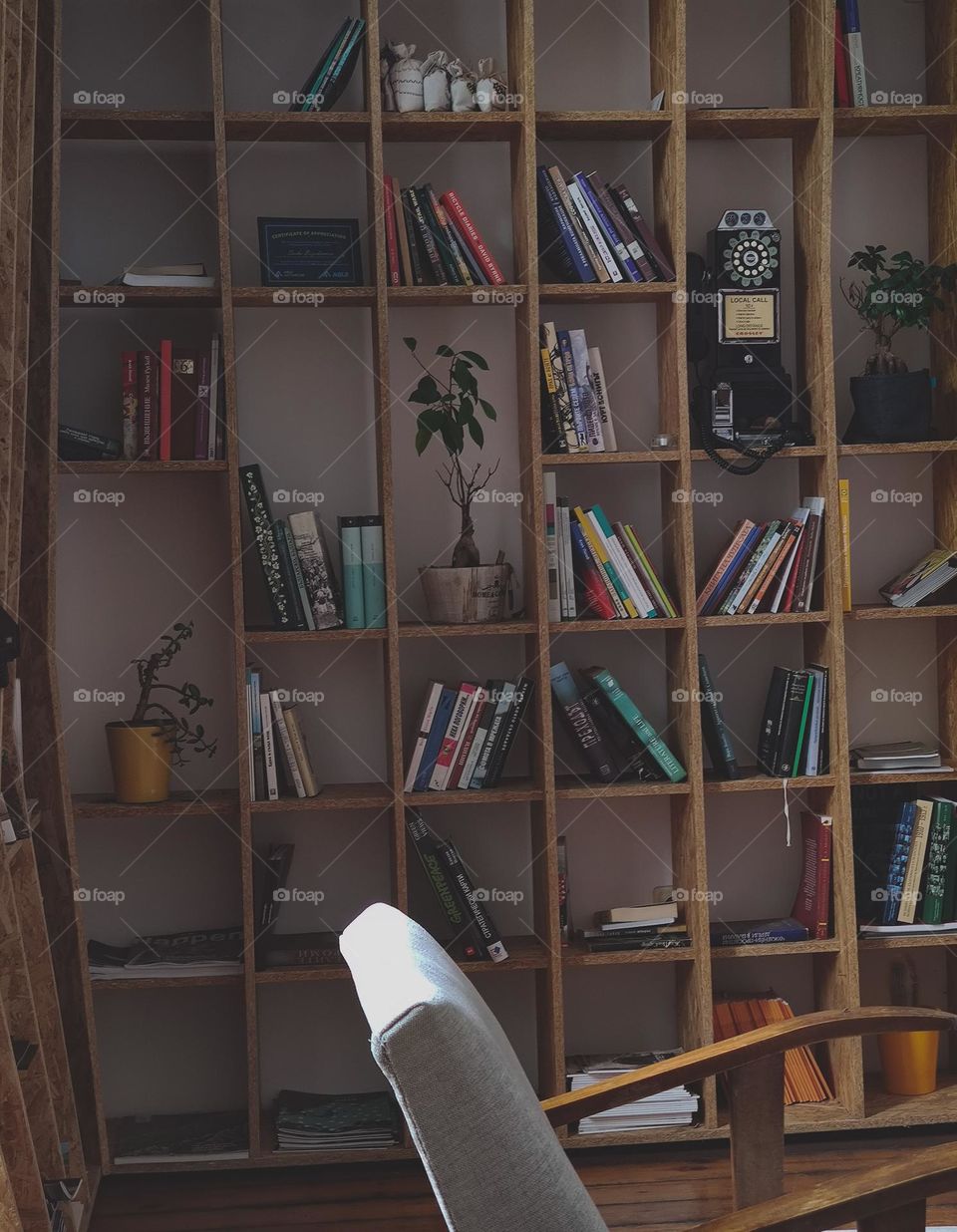 Little library paradise at home