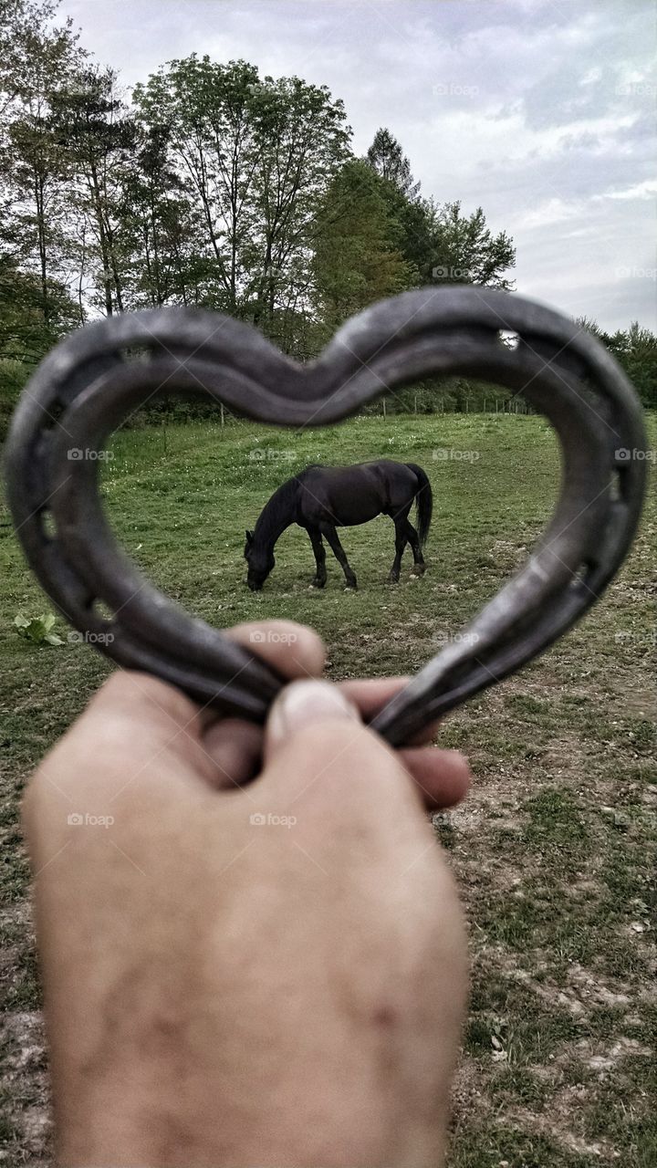 Merlin framed in horseshoe heart. You hold my heart