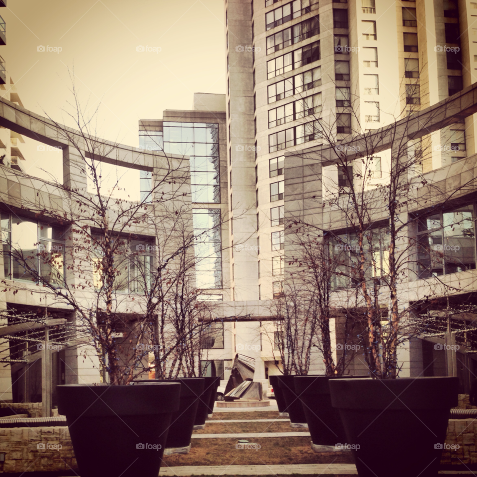 winter spring flowers buildings by byg