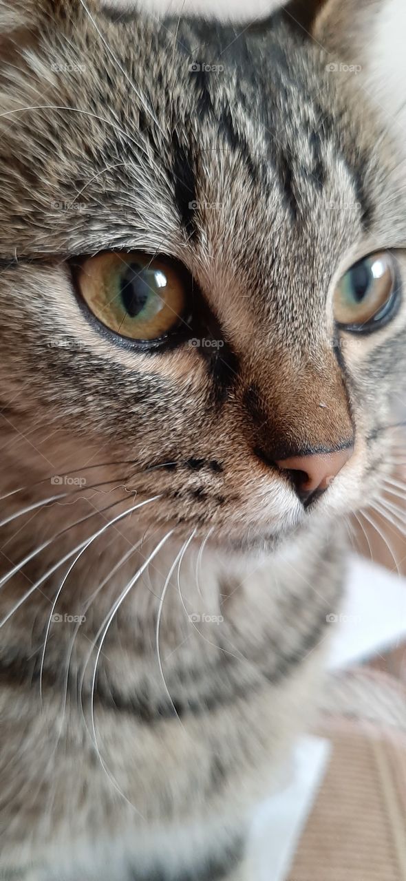 Ты  тоже ,  об   этом   же   думаешь,   о  чём  и   я?