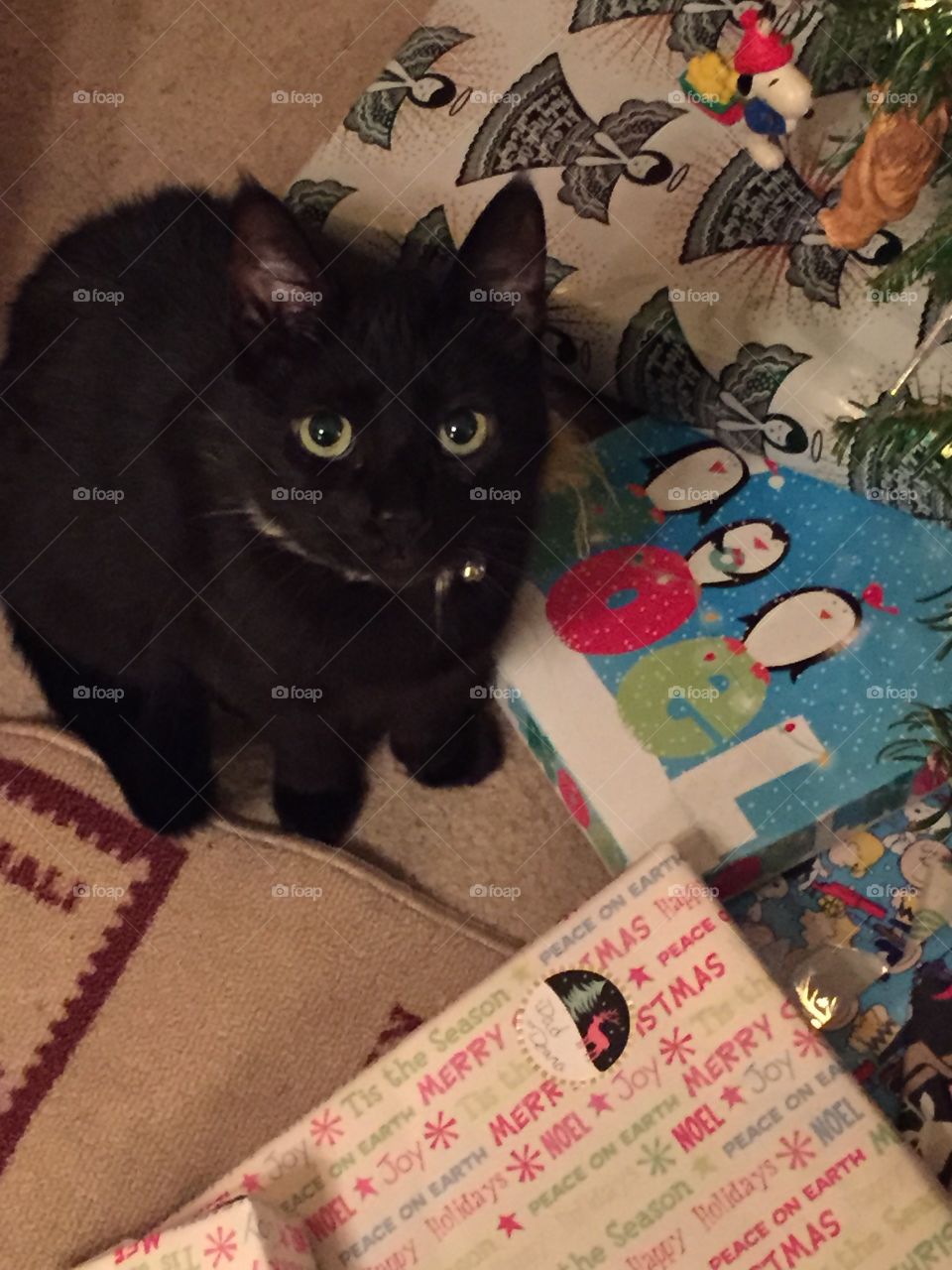 Hermione in the Christmas presents .