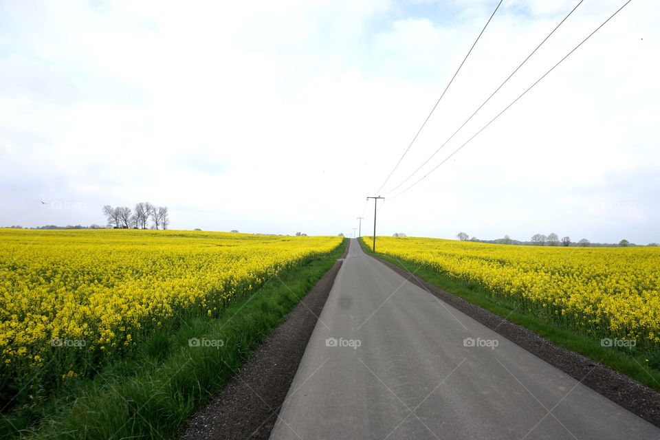 So weit das Auge reicht.