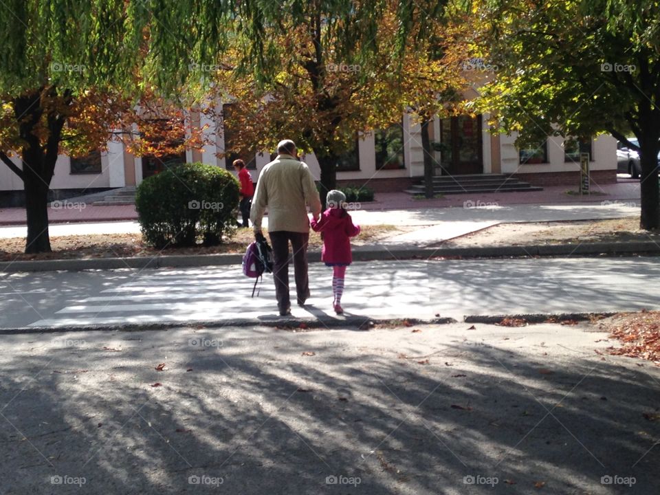 Rear view of grandfather and granddaughter walking on park