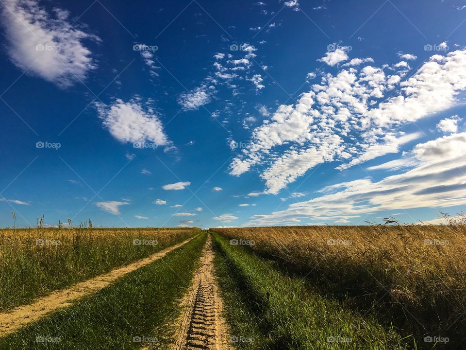 Sky, Landscape, No Person, Nature, Field