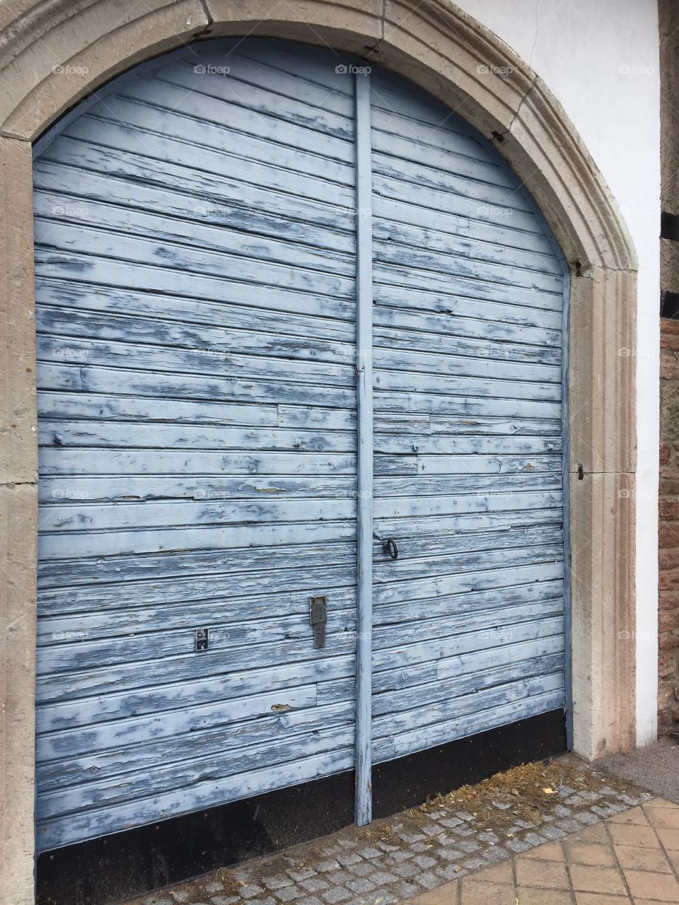 Catched at Öland, Sweden today 